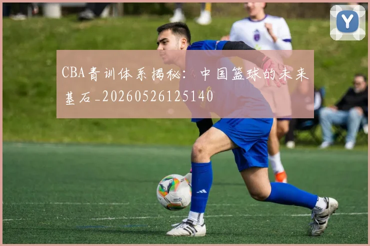 CBA青训体系揭秘:中国篮球的未来基石_20260526125140